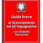 Guida al licenziamento